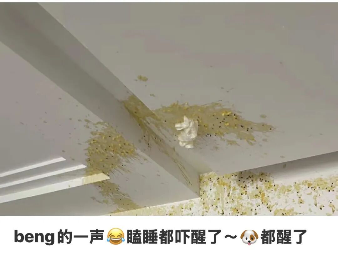 家里突变“凶案现场”?男子自制糟辣椒凌晨爆炸,“幕后黑手”找到了! 家里突变“凶案现场”?男子自制糟辣椒凌晨爆炸,“幕后黑手”找到了!