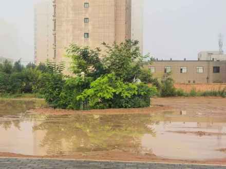 甘肃合水降雨量打破历史极值