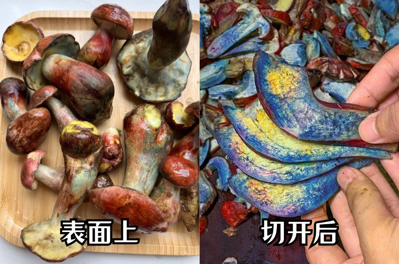 男子深夜潜入餐馆,不偷现金只偷见手青！店主慌了:怕他吃中毒来找我算账…
