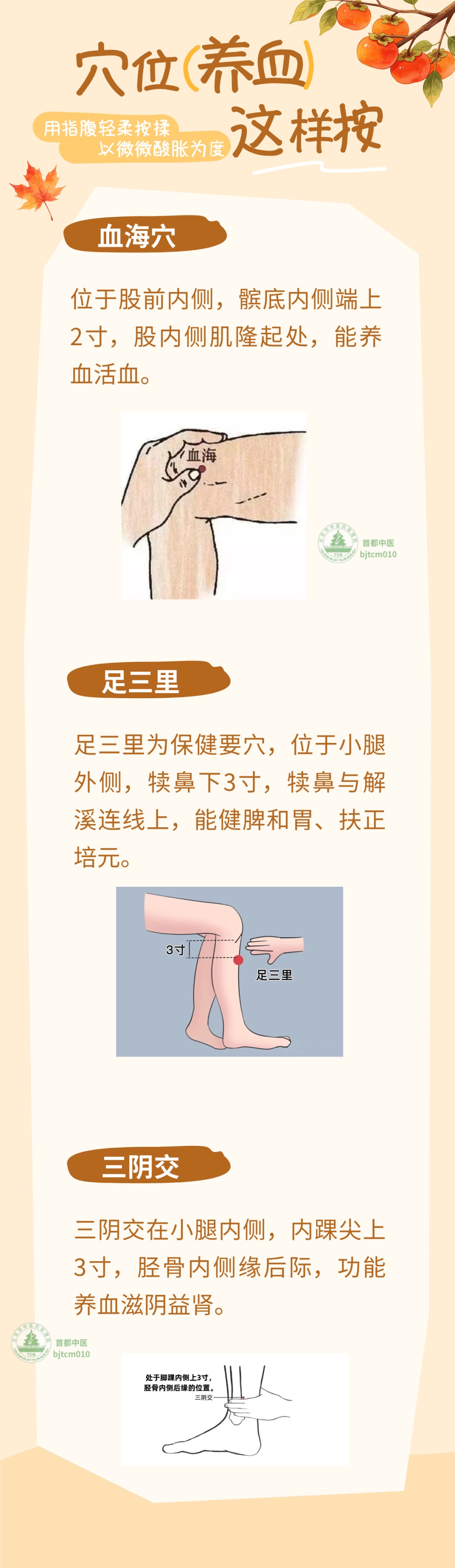 天天吃红枣阿胶,气色依旧差?养血别踩这几个常见误区 天天吃红枣阿胶,气色依旧差?养血别踩这几个常见误区