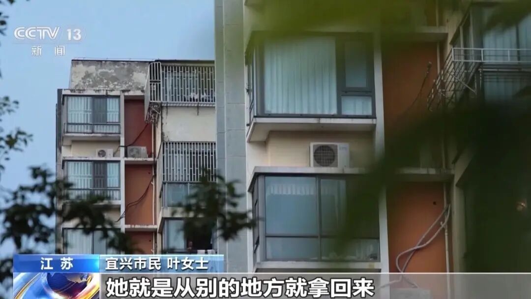 “造型一个比一个露骨”,这些手办被认定为淫秽物品,12人获刑! “造型一个比一个露骨”,这些手办被认定为淫秽物品,12人获刑!