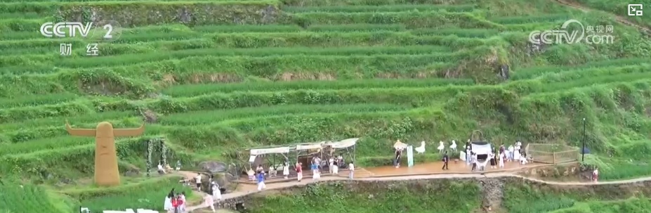 小票根串联多元消费闭环 “电影+”跨界联动让银幕“流量”变消费“增量”