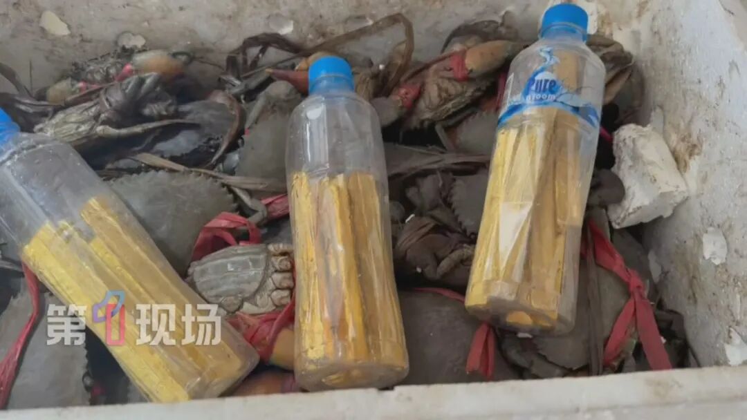 买青蟹送10公斤黄金？深圳海关揪出走私大案