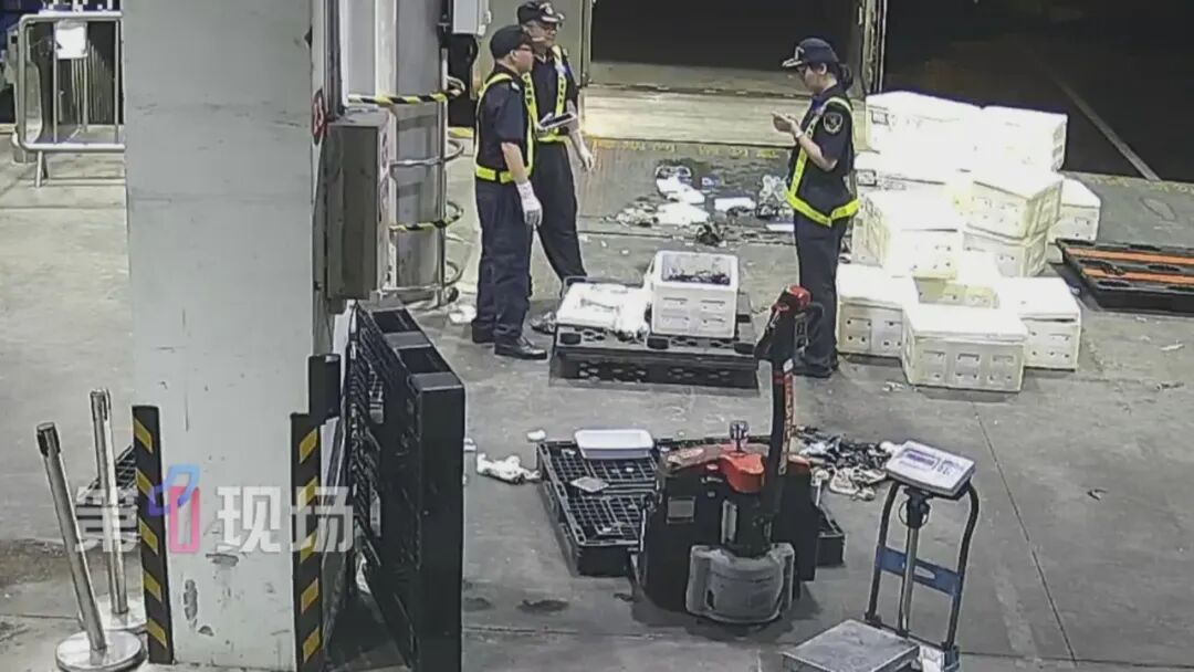 买青蟹送10公斤黄金？深圳海关揪出走私大案