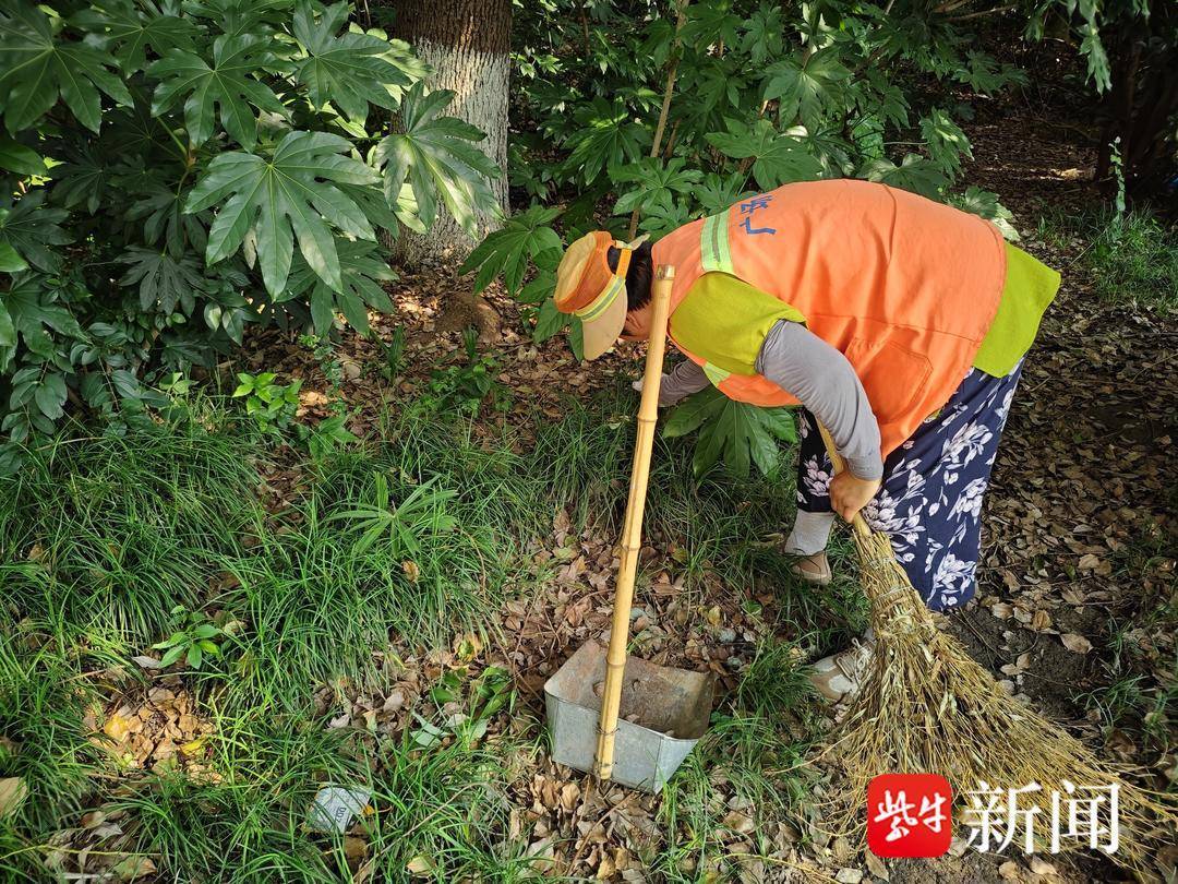 近期多人中毒!雨后路边野生蘑菇,一口都不能吃 近期多人中毒!雨后路边野生蘑菇,一口都不能吃