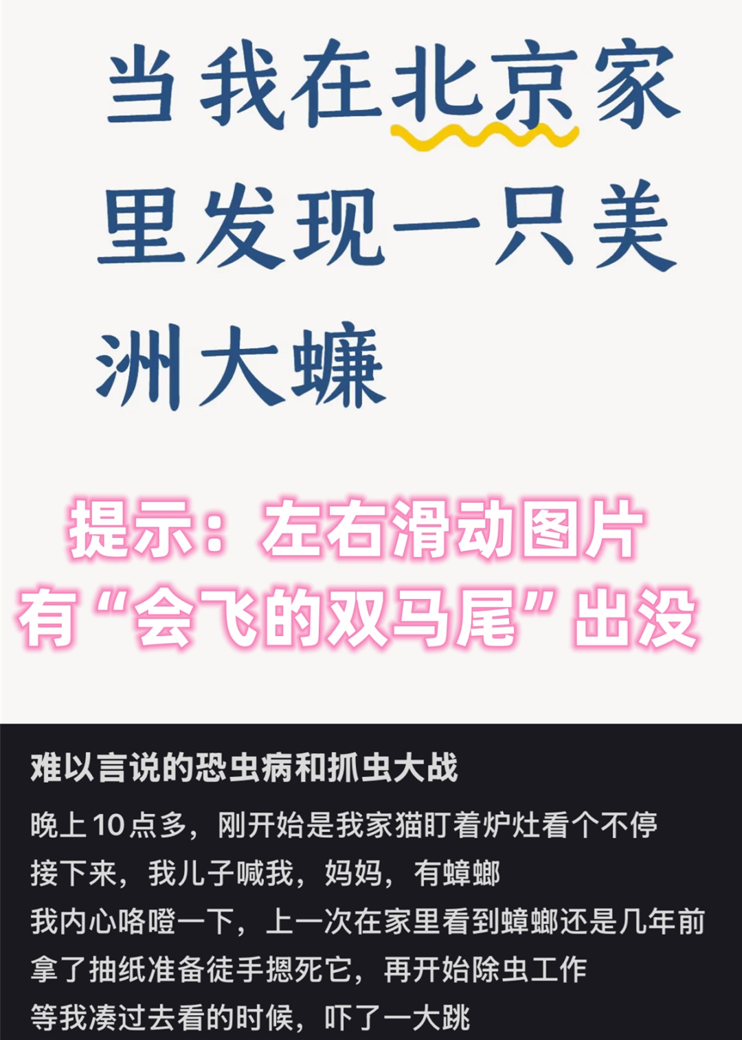 “足足有大拇指这么长,带着翅膀”,北京的“大蟑螂”真变多了吗? “足足有大拇指这么长,带着翅膀”,北京的“大蟑螂”真变多了吗?