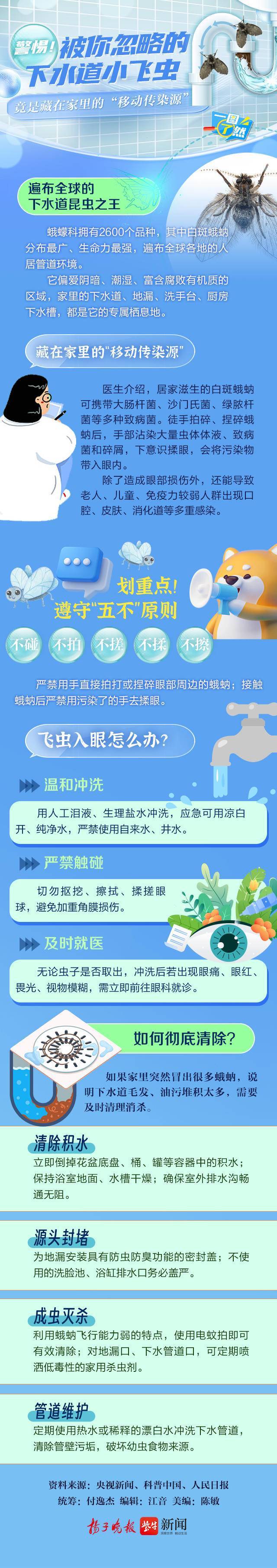 一图了然|警惕!被你忽略的下水道小飞虫,竟是藏在家里的“移动传染源” 一图了然|警惕!被你忽略的下水道小飞虫,竟是藏在家里的“移动传染源”