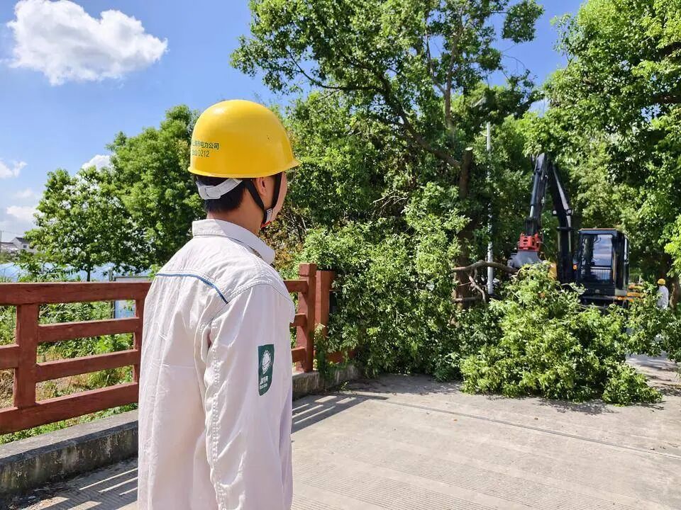 台风“沙德尔”已登陆！上海风雨骤增，已转移1.8万余人