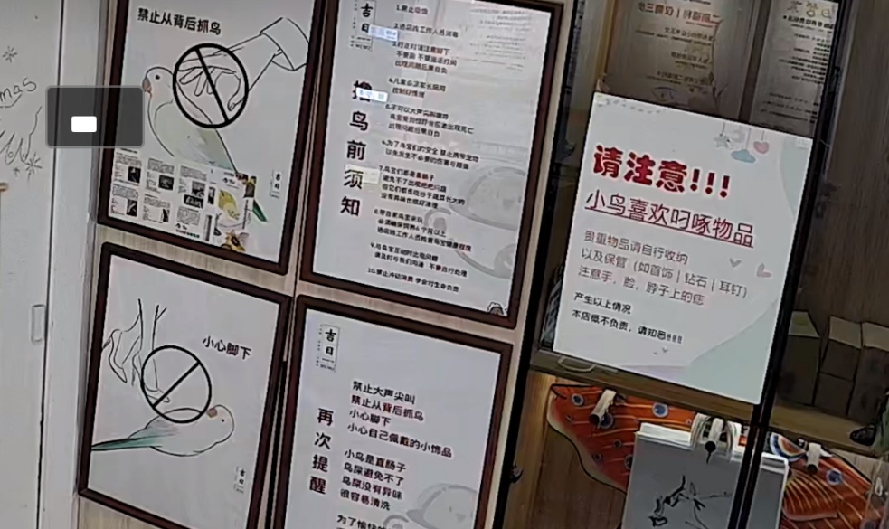 “鸟咖”女孩被鹦鹉啄掉半颗痣！医生：建议手术