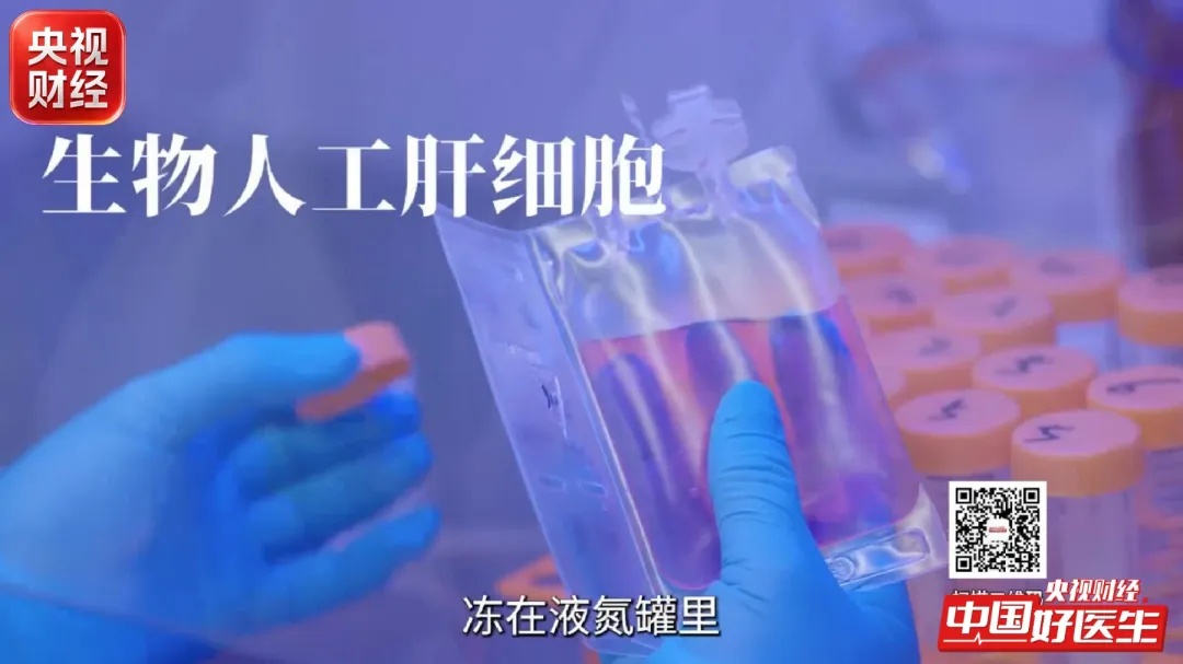 乙肝、脂肪肝、酒精肝…如何一步步拖成肝衰竭？