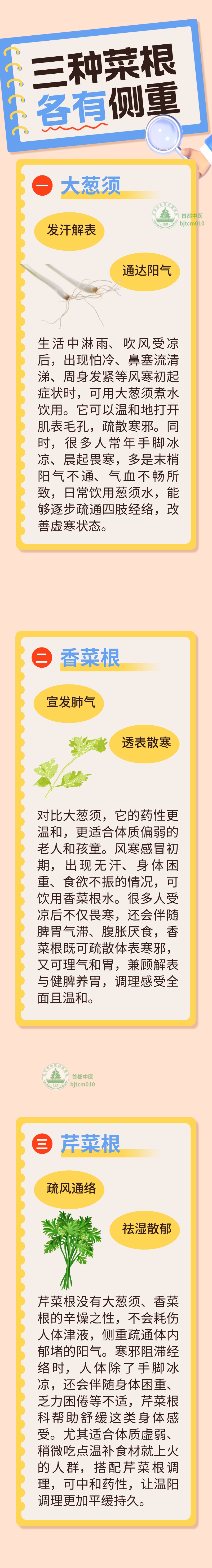 被丢掉的菜根,竟是天然“还阳草”!这三种菜根煮水喝,温和疏通阳气 被丢掉的菜根,竟是天然“还阳草”!这三种菜根煮水喝,温和疏通阳气