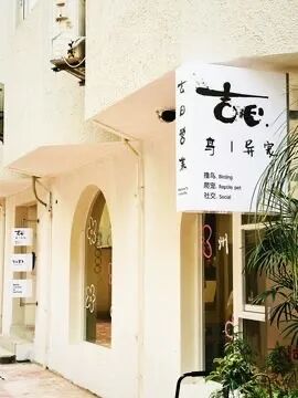 “鸟咖”女孩被鹦鹉啄掉半颗痣！医生：建议手术
