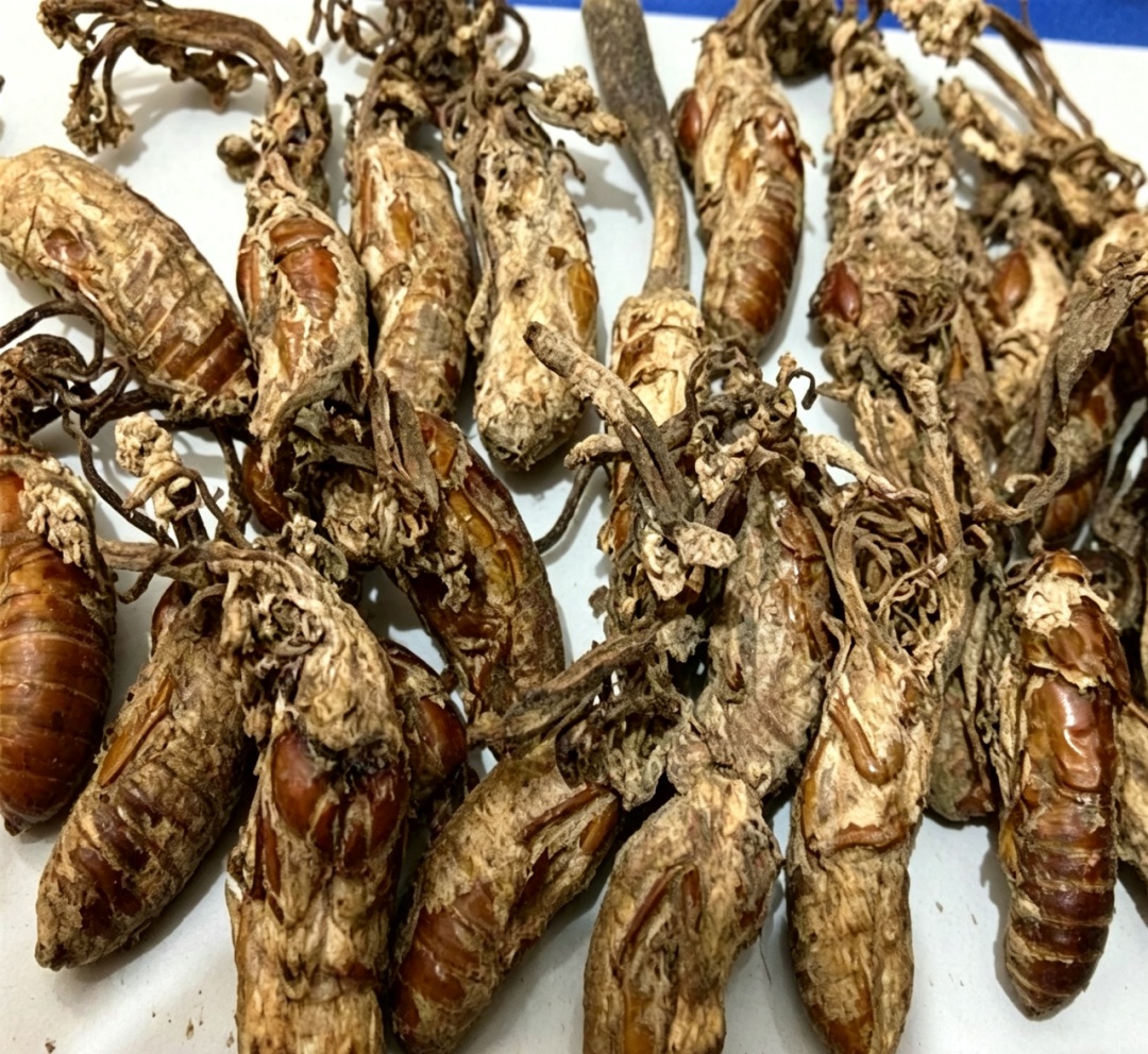 男子吃"补品"后胡言乱语，被送进ICU！家里有的赶紧扔️