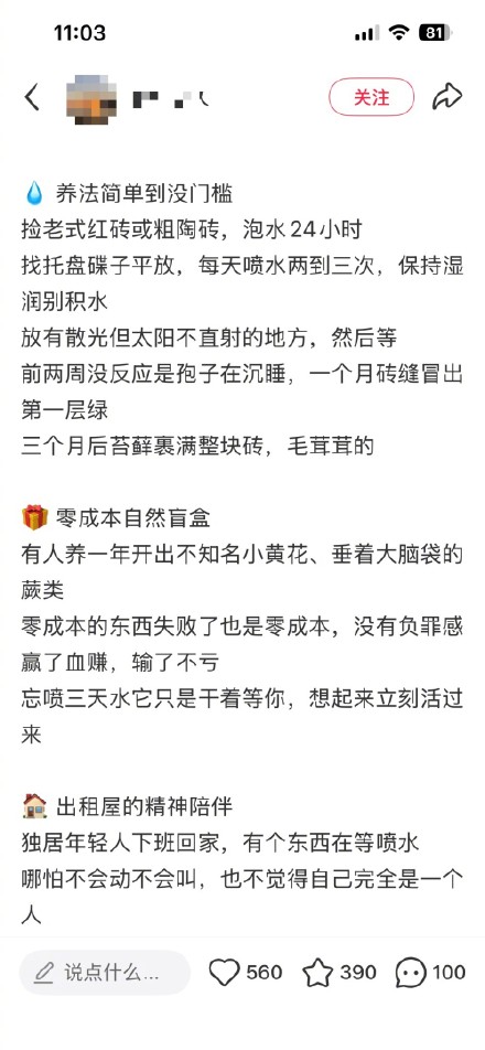 “养砖”解压流行 专家提醒：小心养出这三种菌