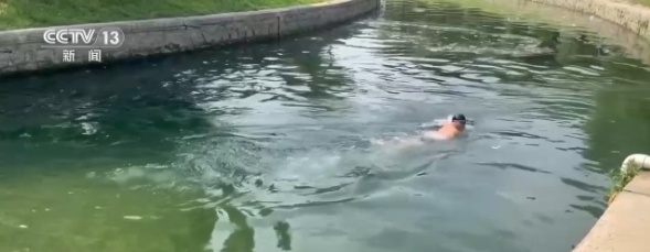 “脑袋破了，磕晕了！”北京一河道野泳跳水屡劝不绝！