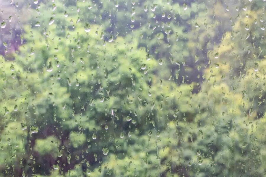 暴雨大暴雨,今天到广东!还有新台风生成 暴雨大暴雨,今天到广东!还有新台风生成