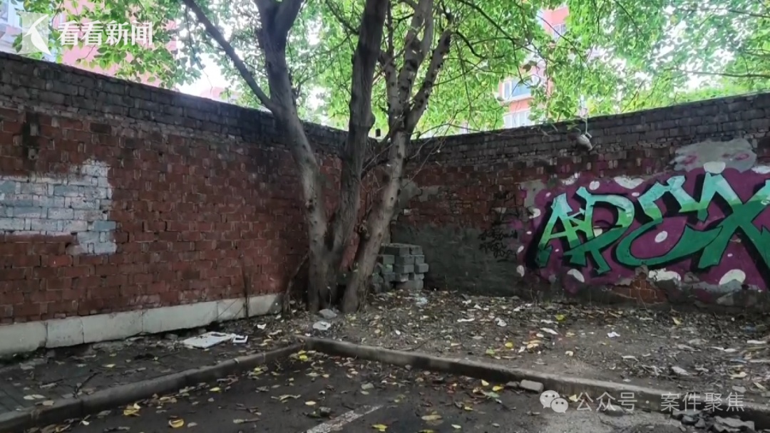 上海一断头路惊现“摇钱树”！深夜有人在此投放钱和黄金，背后竟然是→