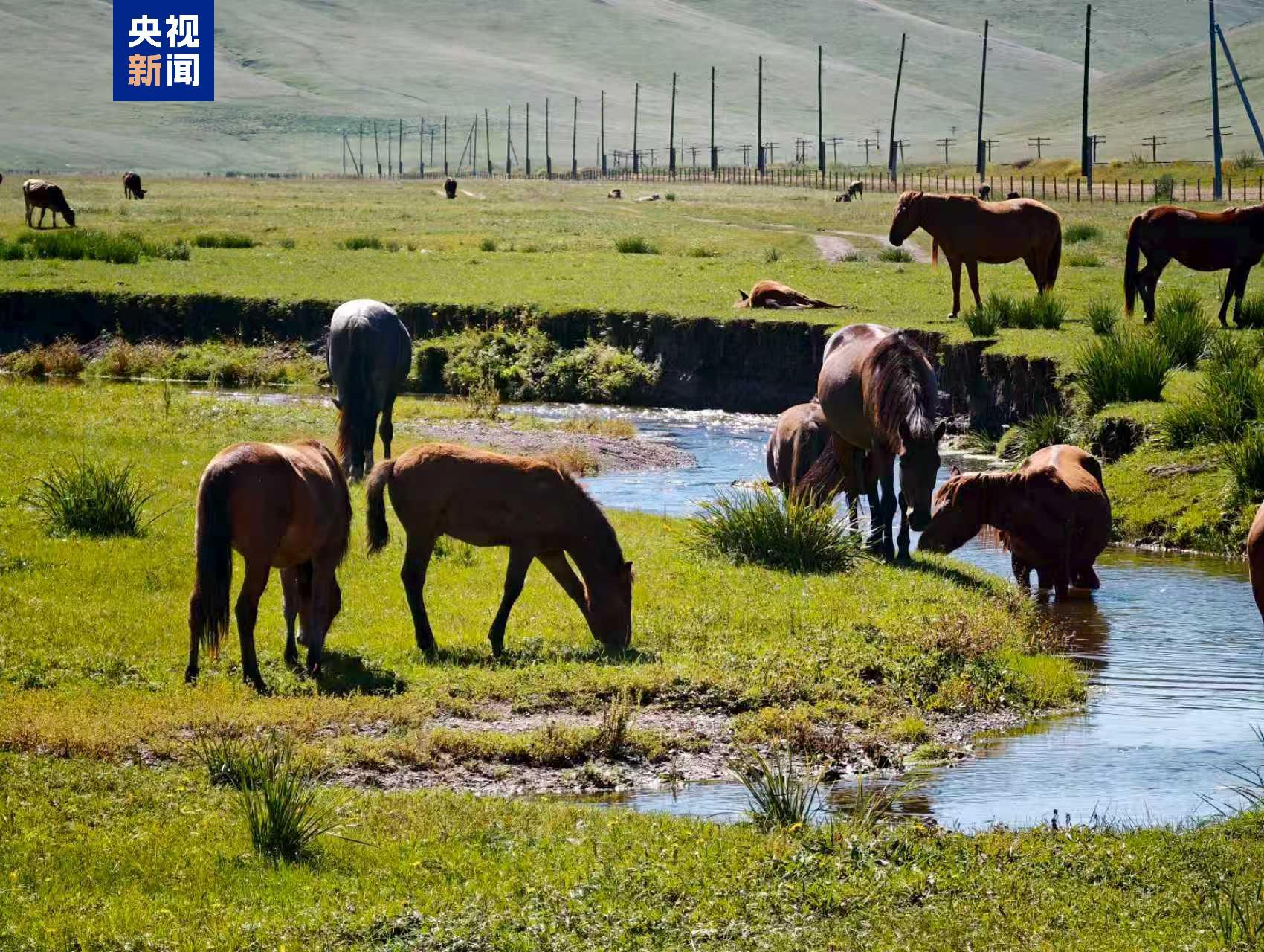 《联合国防治荒漠化公约》COP17闭幕 “中国角”受到各方广泛关注 《联合国防治荒漠化公约》COP17闭幕 “中国角”受到各方广泛关注