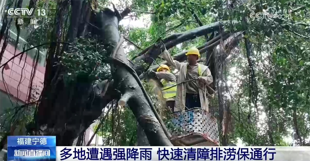 多地闻“风”而动积极应对“沙德尔”过境 切实保障人民群众生命财产安全