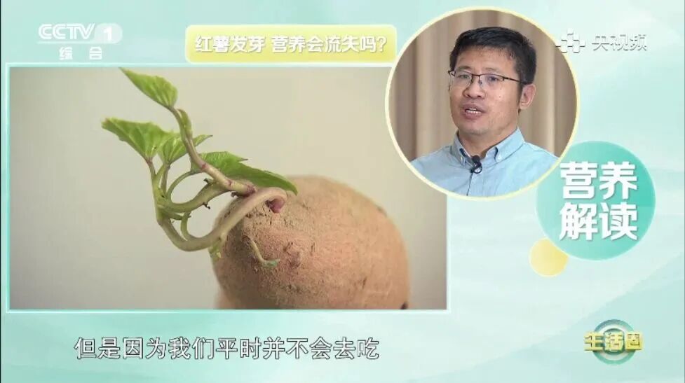 别再扔！这些食物发芽，营养直接翻倍→