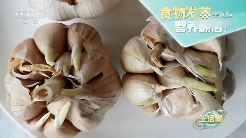 别再扔！这些食物发芽，营养直接翻倍→