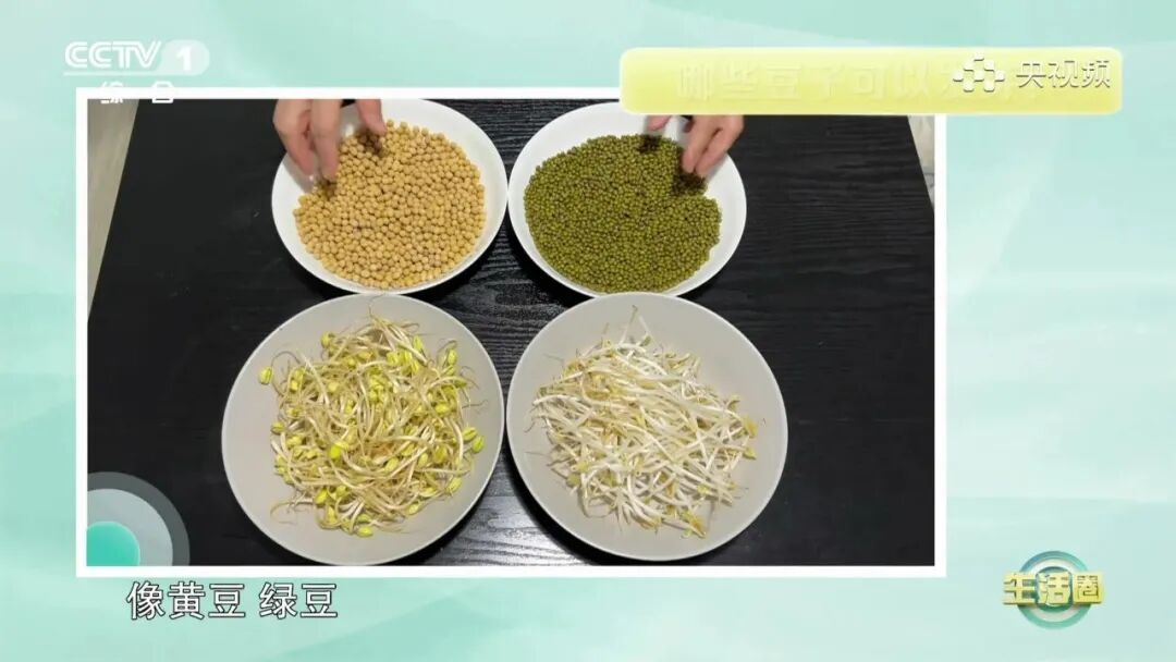 别再扔！这些食物发芽，营养直接翻倍→