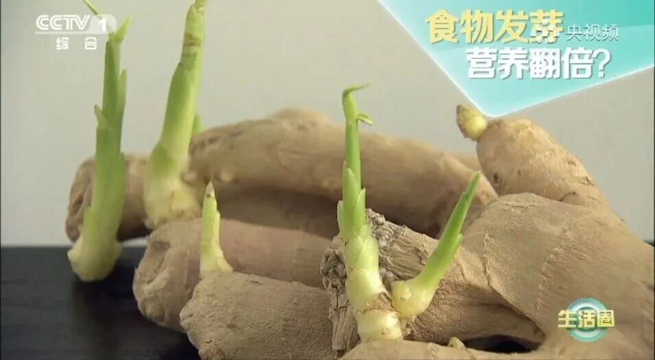 别再扔！这些食物发芽，营养直接翻倍→