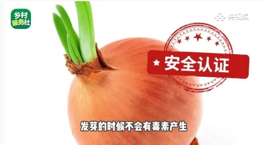 别再扔！这些食物发芽，营养直接翻倍→