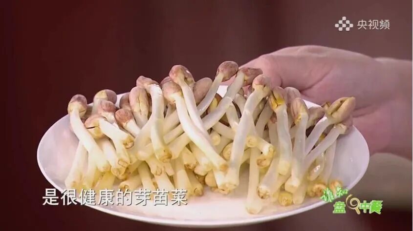 别再扔！这些食物发芽，营养直接翻倍→