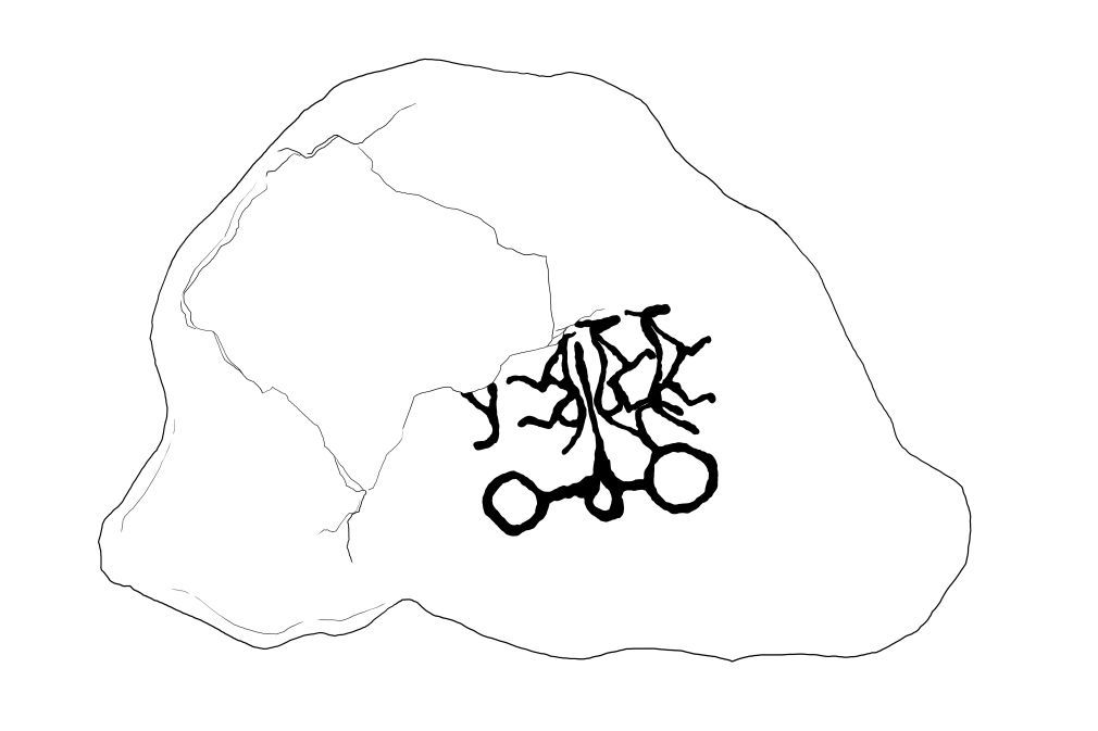 贺兰山新发现“四马拉车”岩画