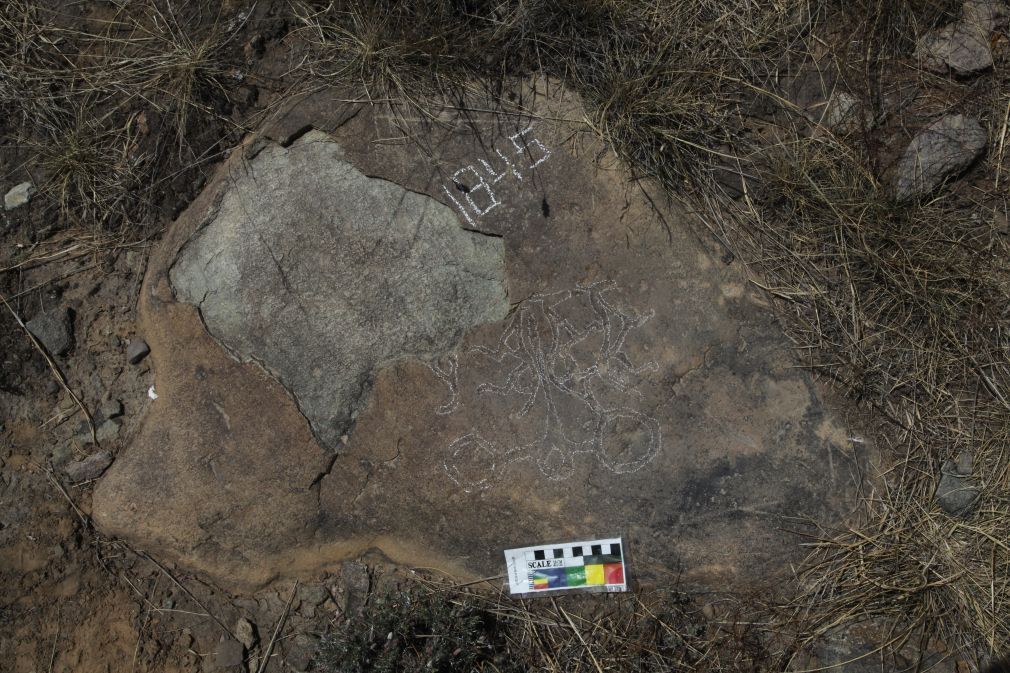 贺兰山新发现“四马拉车”岩画