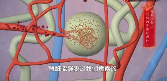 可怕！猪身上这个部位很“毒”，吃多了会“掏空”你的肾，很多人还当好东西