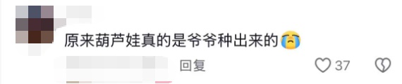 浙江绍兴75岁老人种出7个大葫芦意外走红，家门口成打卡点，本人回应：葫芦秧苗花了6元