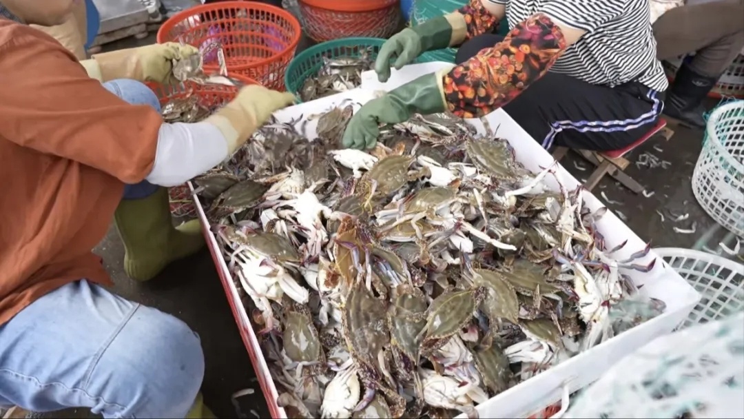 斩获46块奖牌后,她在直播间重启人生 斩获46块奖牌后,她在直播间重启人生