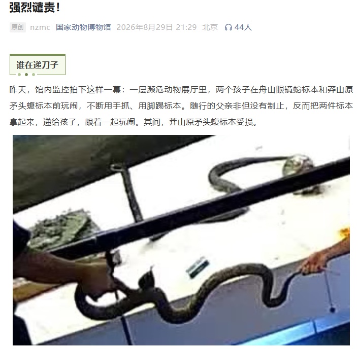 家长拿蛇标本给孩子玩致受损,国家动物博物馆强烈谴责:类似工艺品无统一定价,正定损 家长拿蛇标本给孩子玩致受损,国家动物博物馆强烈谴责:类似工艺品无统一定价,正定损
