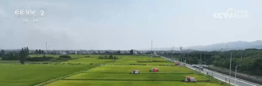 &nbsp;多项“首次”入法 以法治集成护耕地 夯实粮食安全根基