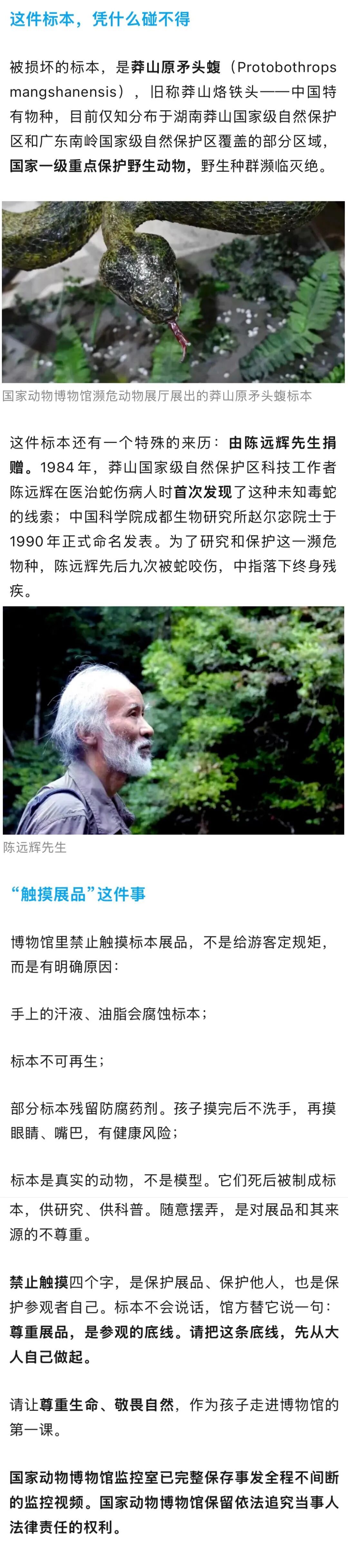 国家动物博物馆深夜谴责：2个孩子手抓并脱鞋拍击标本，其父亲跟着玩闹