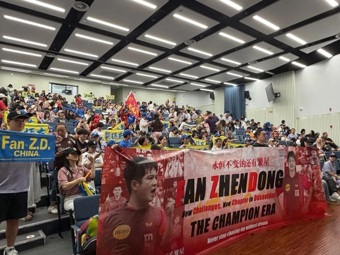 樊振东成暑期档黑马，一天扛下了超百万票房