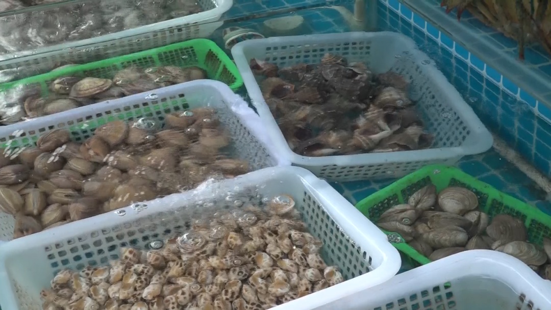 织纹螺暗藏毒性!北京多部门联动出击! 织纹螺暗藏毒性!北京多部门联动出击!