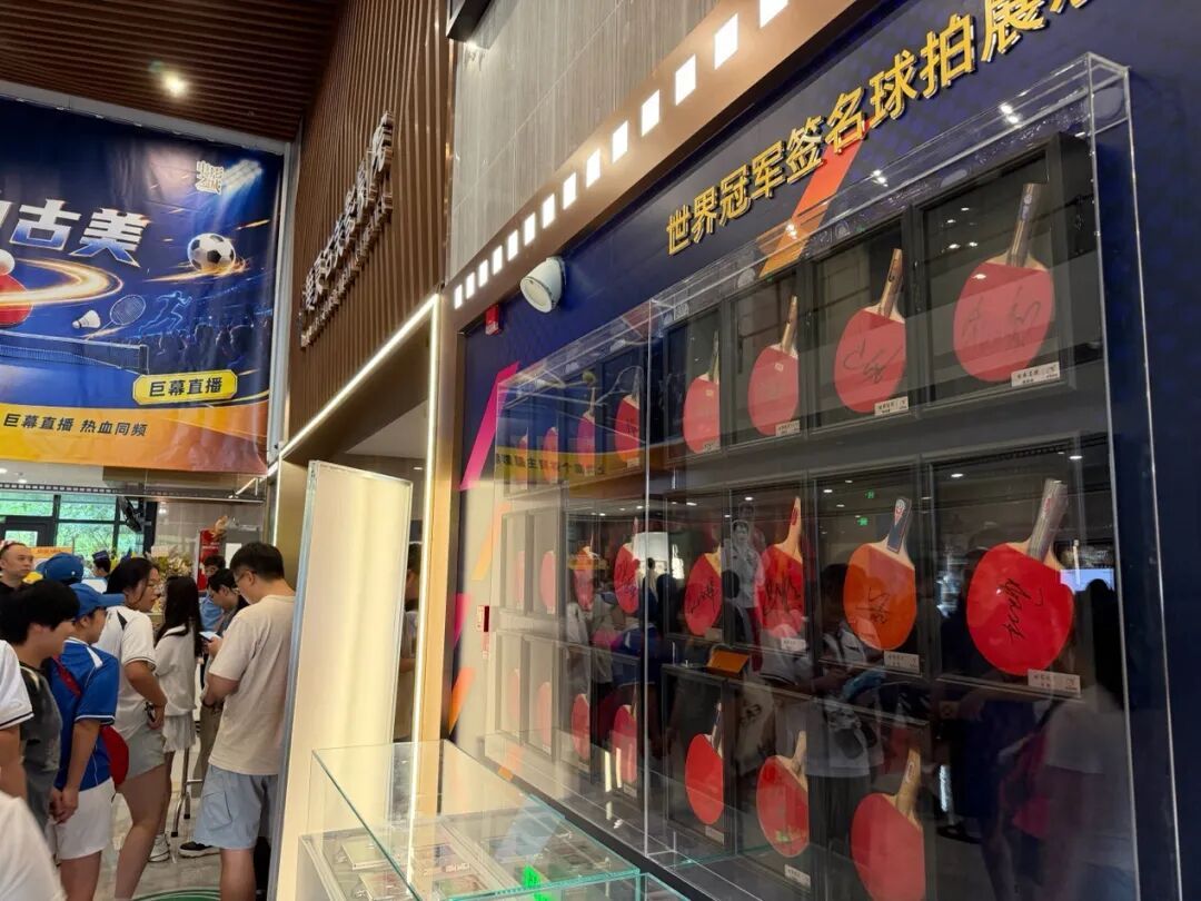 樊振东成暑期档黑马，一天扛下了超百万票房