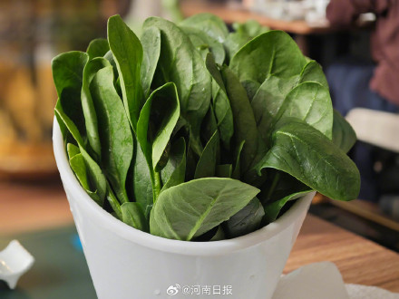 蔬菜的正确清洗方法 蔬菜的正确清洗方法