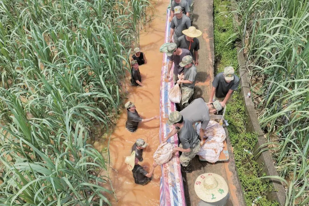 南宁这两名被全网点赞的民兵战士,找到了! 南宁这两名被全网点赞的民兵战士,找到了!