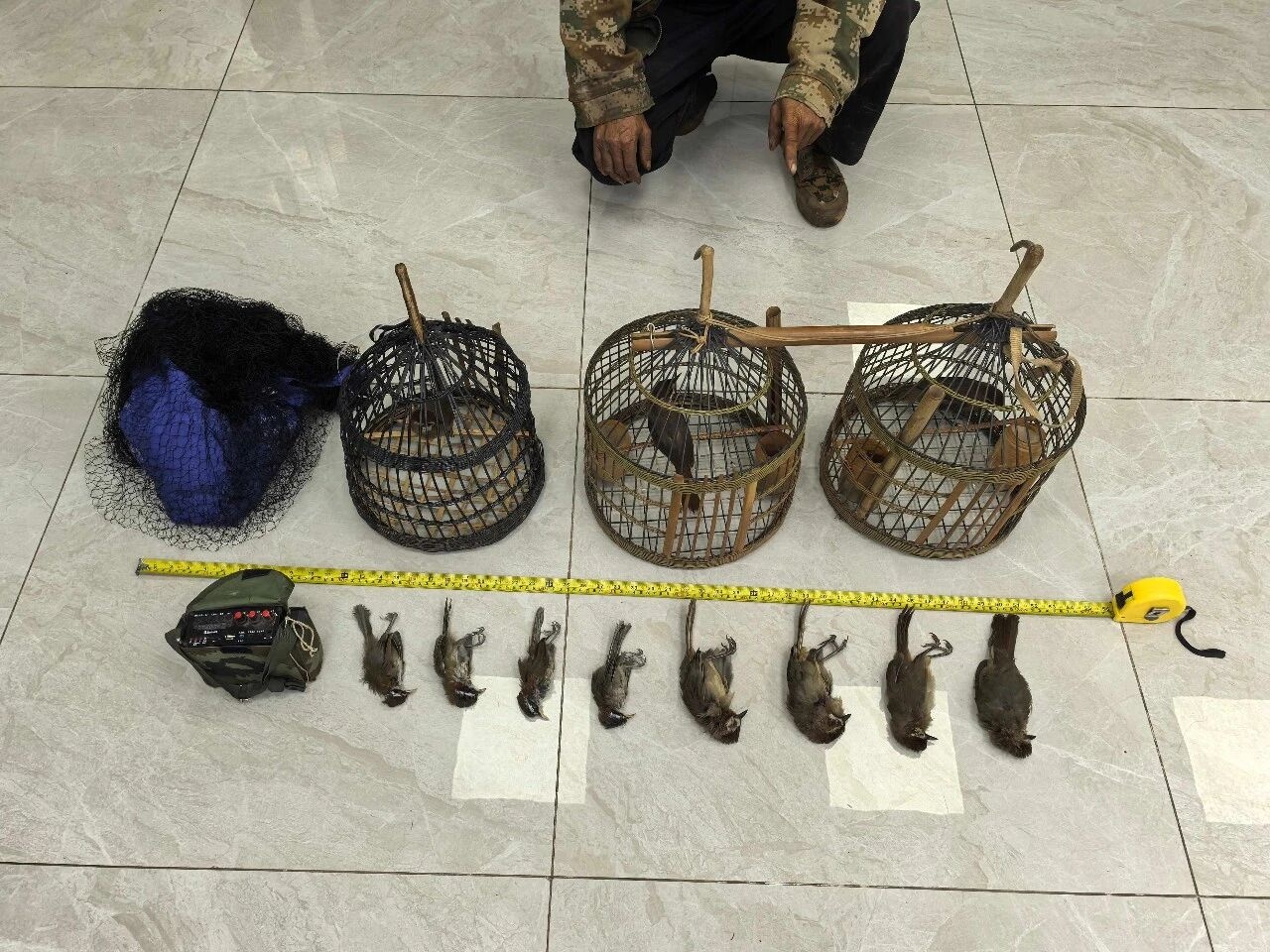 禁猎期内布网捕鸟 云南一男子被采取刑事强制措施 禁猎期内布网捕鸟 云南一男子被采取刑事强制措施