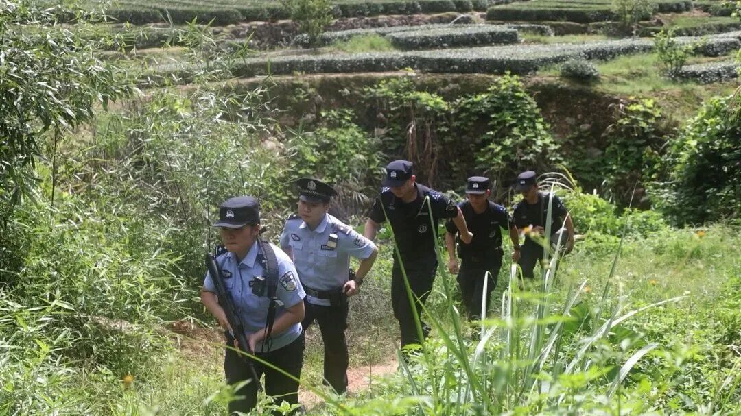 事发福建漳州,“疯牛”受惊失控,接连冲撞伤人,女特警果断开枪击毙! 事发福建漳州,“疯牛”受惊失控,接连冲撞伤人,女特警果断开枪击毙!