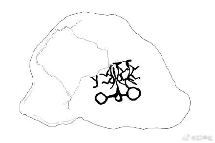 贺兰山首次发现四马拉车岩画 贺兰山首次发现四马拉车岩画