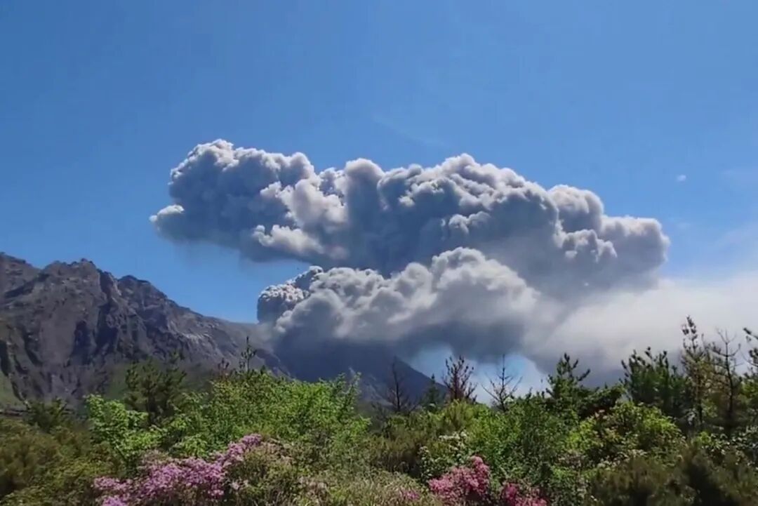 日本樱岛火山今日多次喷发,喷烟高度均达到1000米至1300米,向西北方向扩散 日本樱岛火山今日多次喷发,喷烟高度均达到1000米至1300米,向西北方向扩散