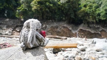 西藏泥石流灾难中最让人心酸的一幕 西藏泥石流灾难中最让人心酸的一幕