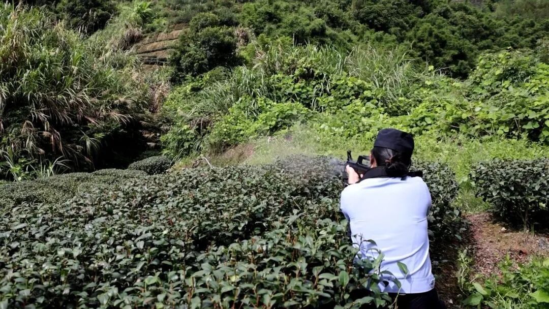 事发福建漳州,“疯牛”受惊失控,接连冲撞伤人,女特警果断开枪击毙! 事发福建漳州,“疯牛”受惊失控,接连冲撞伤人,女特警果断开枪击毙!