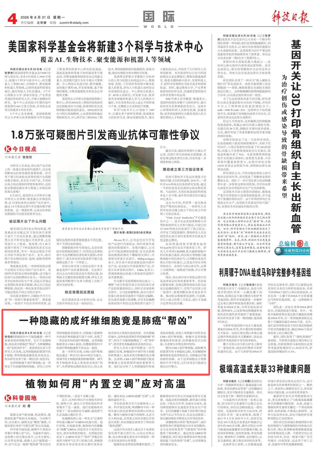 这种细胞，竟是肺癌“帮凶”！