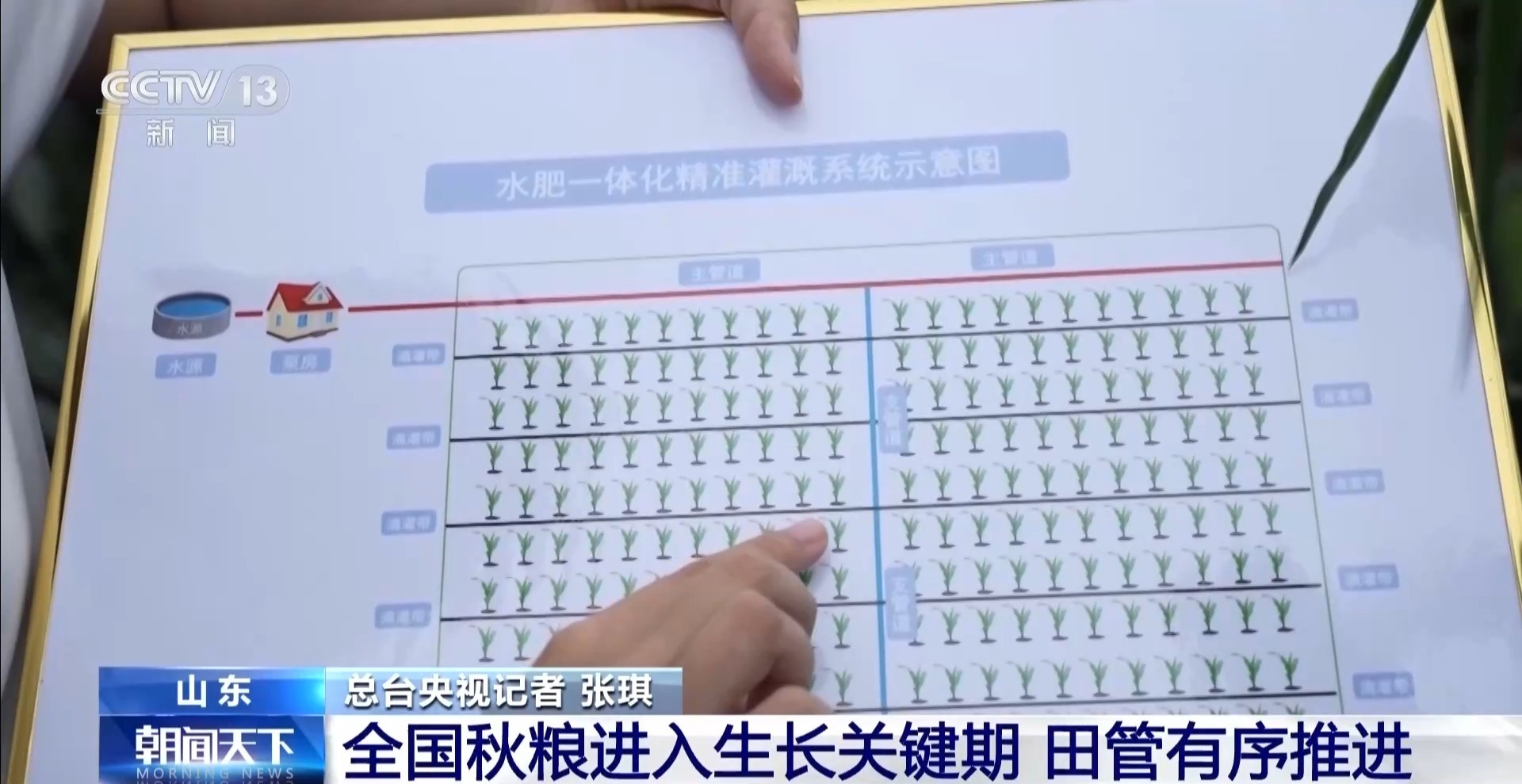 无人机“体检”、水肥一体化 多地有序推进秋粮田管 无人机“体检”、水肥一体化 多地有序推进秋粮田管